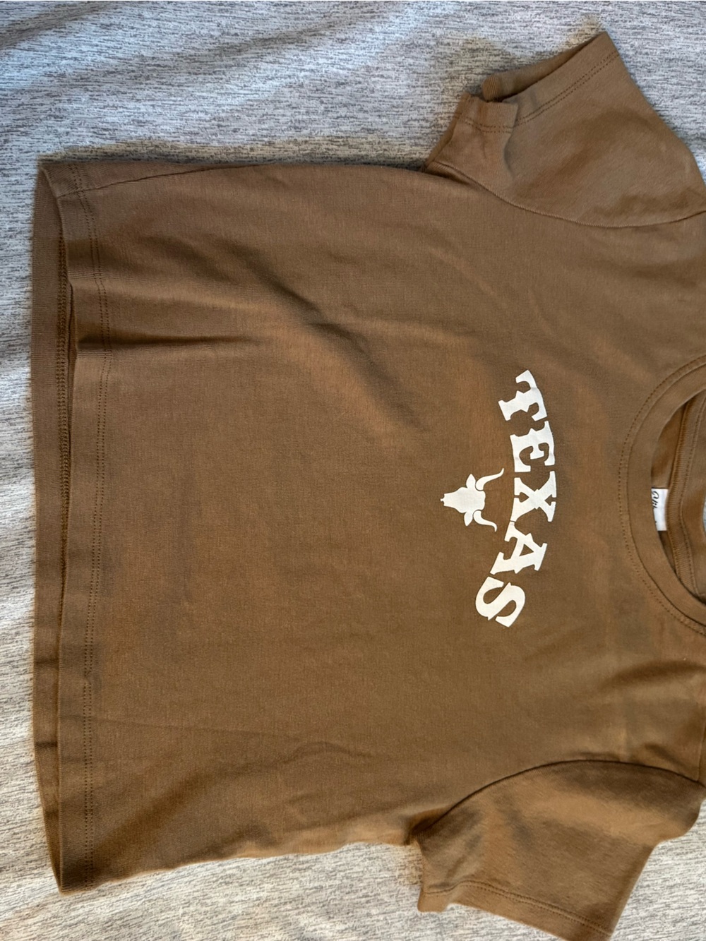 Texas Graphic Short-Sleeve Shirt in Brown